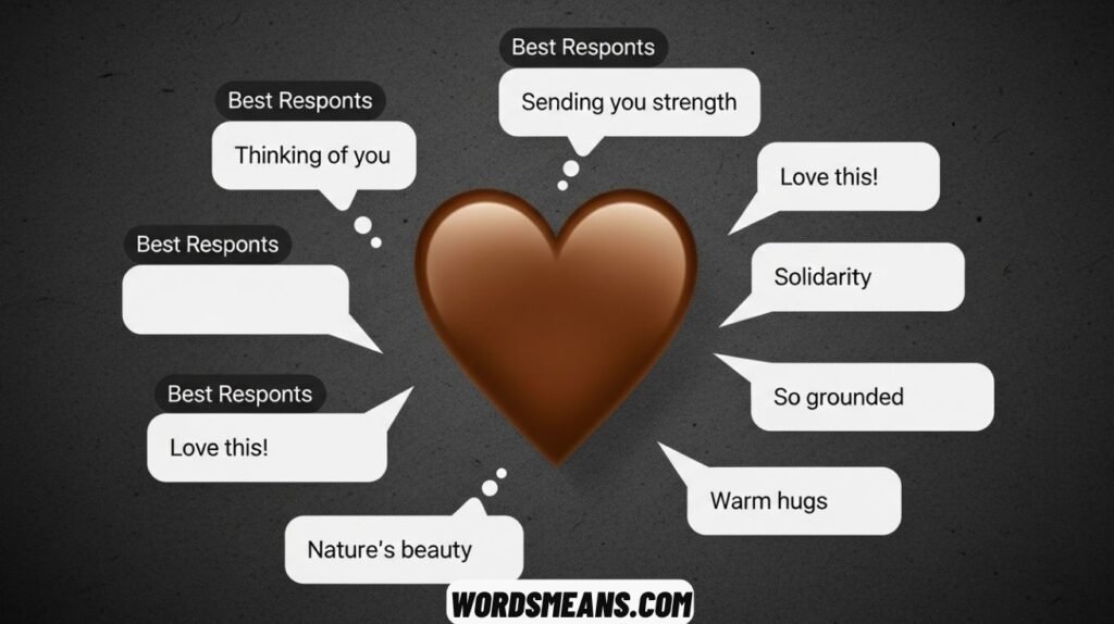 Brown Heart Emoji Meaning and Best Responses