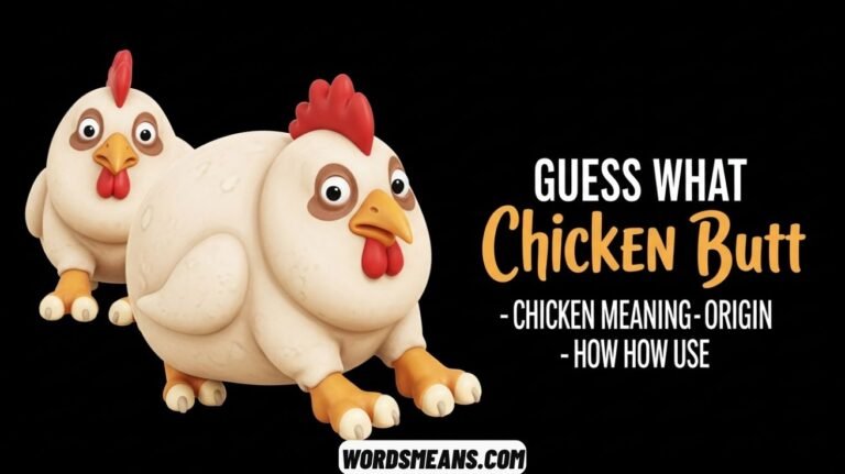 Guess What Chicken Butt – Its Meaning