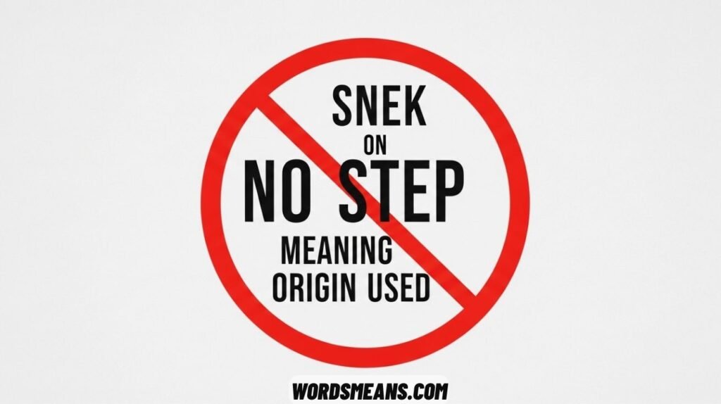 No Step on Snek Its Meaning