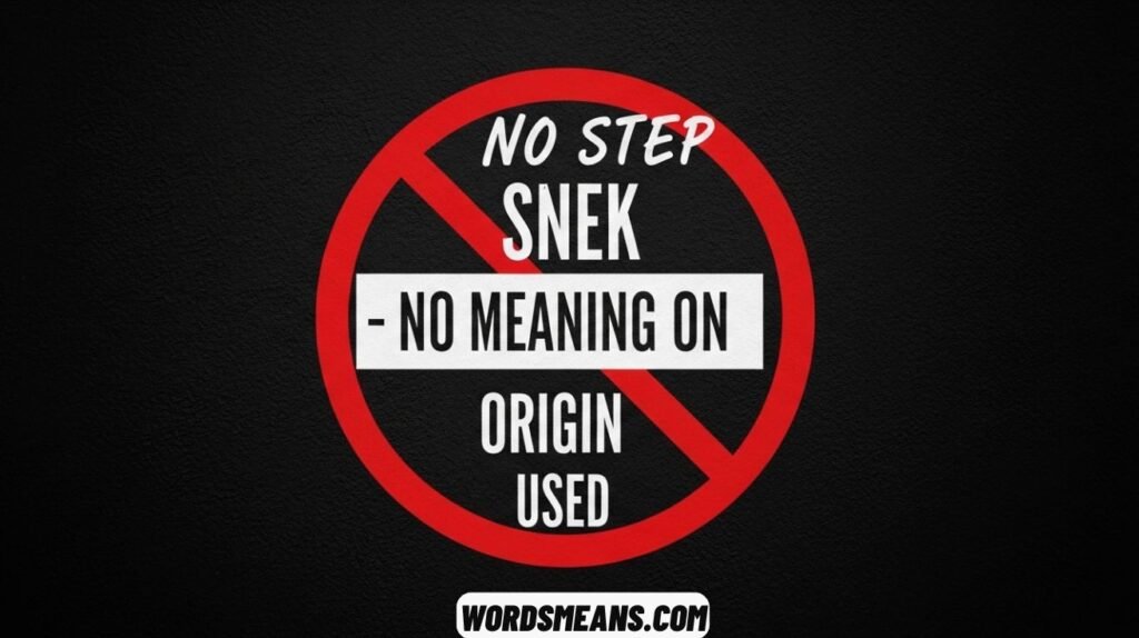 No Step on Snek Its Meaning