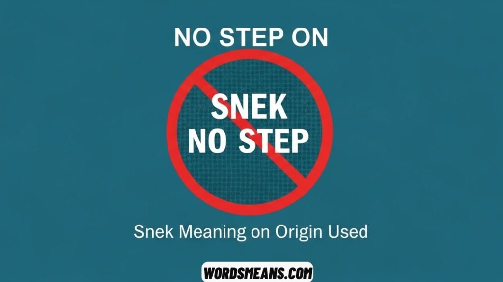 No Step on Snek Its Meaning