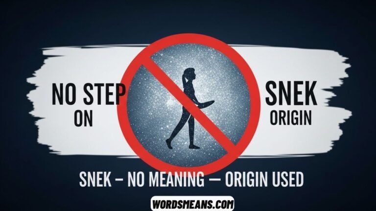 No Step on Snek Its Meaning