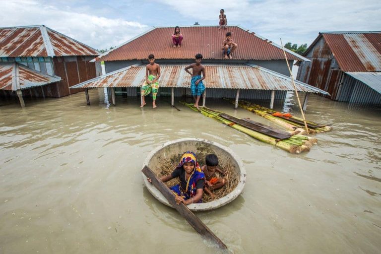 Climate Change News: Recent Environmental Challenges and Solutions