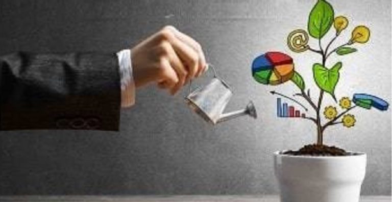 15 Small Business Ideas with High Growth Potential