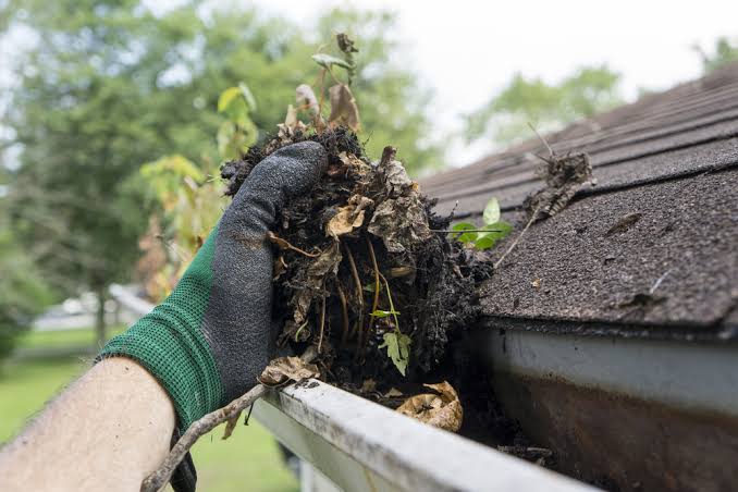 Why Regular Gutter Maintenance Is Important